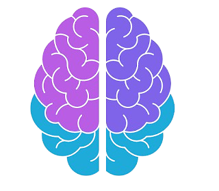 JSDEVBRAINS logo